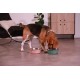 ZOLUX Antypoślizgowa miska dla psa FOOD kol zielony 1700ML