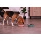 ZOLUX Antypoślizgowa miska dla psa FOOD kol zielony 1700ML