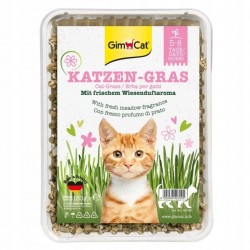 GIMCAT KATZENGRAS trawa dla kotów 150g