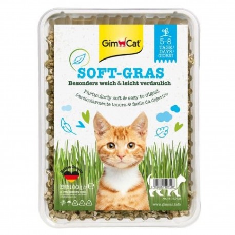 GIMCAT SOFT-GRAS trawa dla kotów 100g