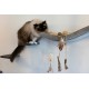 ZOLUX Zabawka dla kota ETHICAT wędka piłka z rattanu i piórka